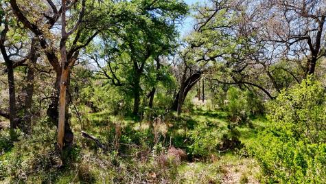 Tract 1 Ranch Road 2233 Sunrise Beach TX 78643