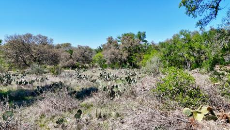 Tract 1 Ranch Road 2233 Sunrise Beach TX 78643