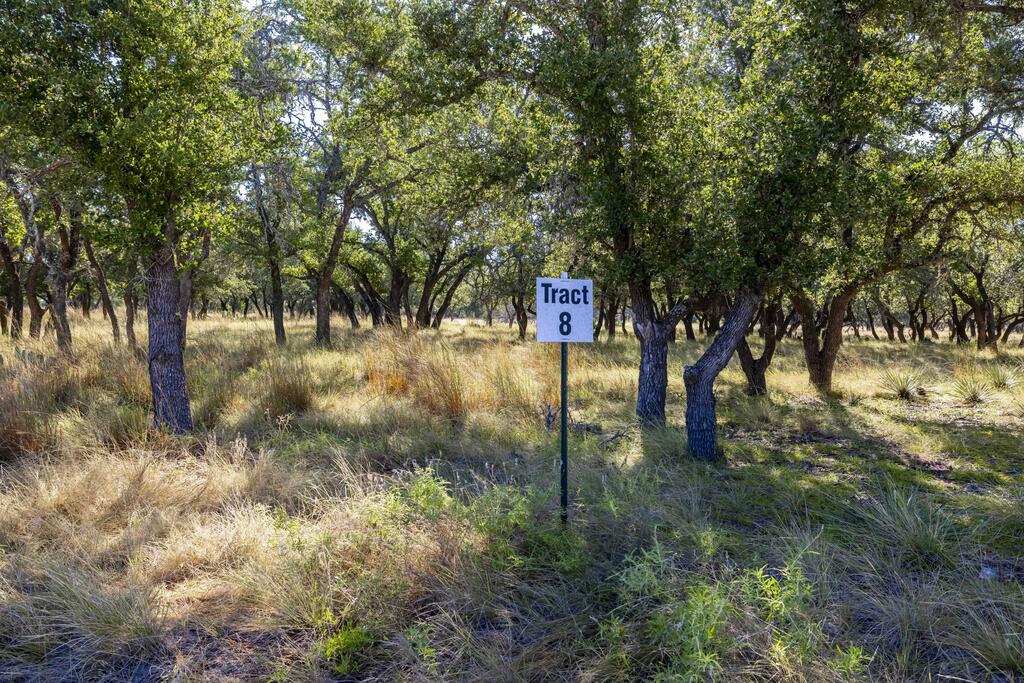 Lot 8 Legacy Oaks Drive Harper TX 78631