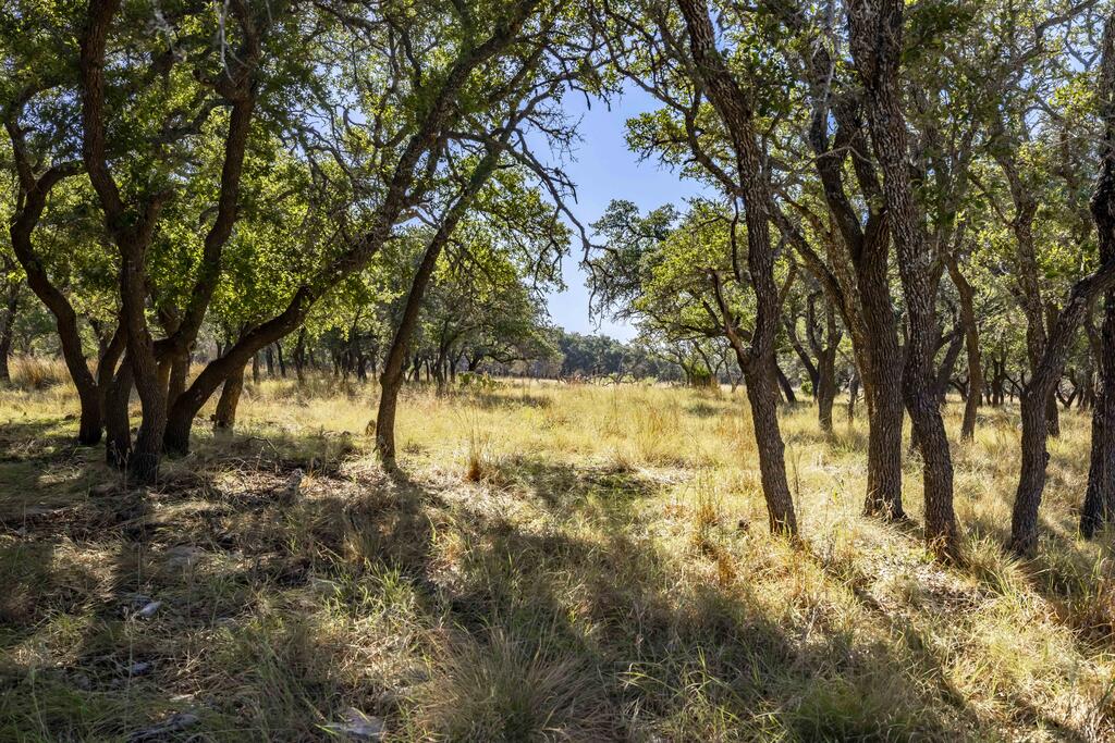Lot 8 Legacy Oaks Drive Harper TX 78631
