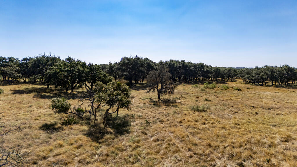 Lot 8 Legacy Oaks Drive Harper TX 78631