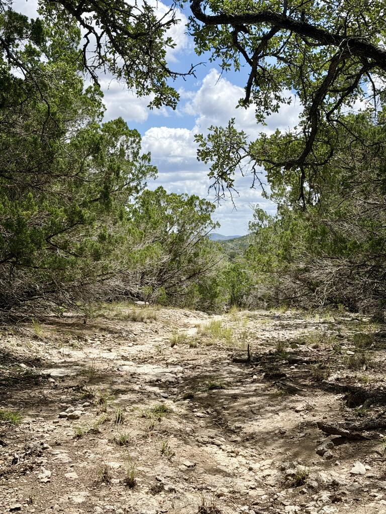 LT152 W Bear Springs Road Pipe Creek TX 78063