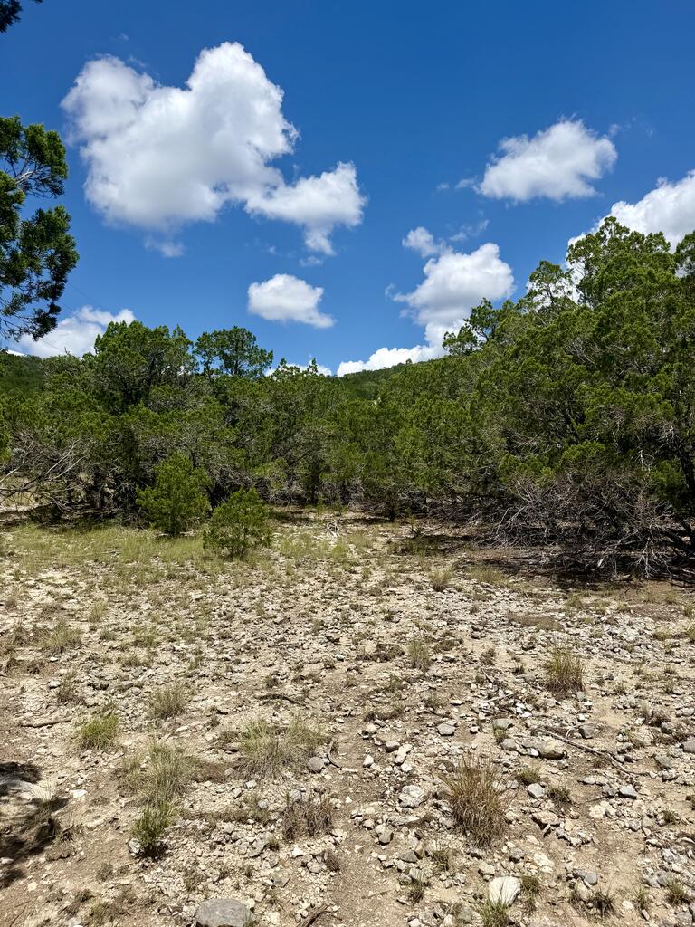 LT152 W Bear Springs Road Pipe Creek TX 78063