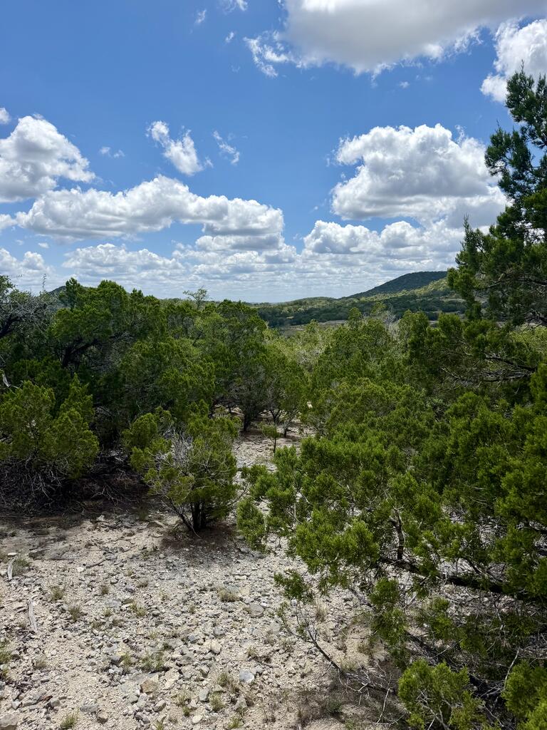 LT152 W Bear Springs Road Pipe Creek TX 78063