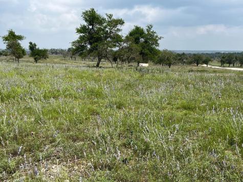 Lot 8 Sweet Wind Lane Harper TX 78631