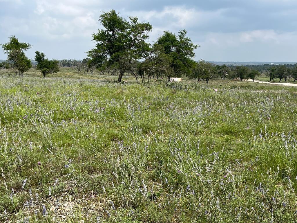 Lot 8 Sweet Wind Lane Harper TX 78631