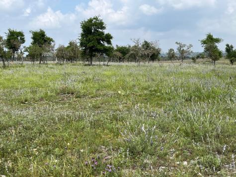 Lot 8 Sweet Wind Lane Harper TX 78631