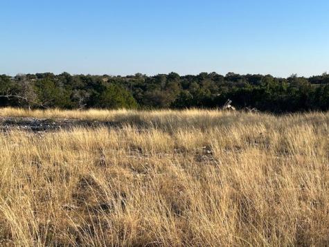 Tract 10 Rare Eagle Drive Fredericksburg TX 78624