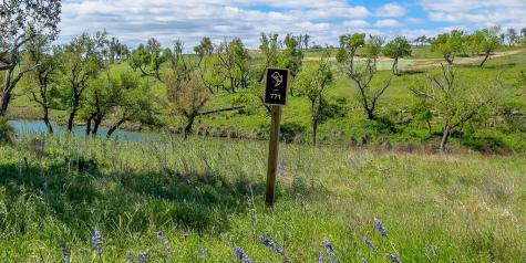 Fredericksburg TX 78624