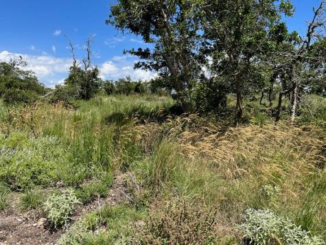 Lot 12 Sweet Wind Lane Harper TX 78631