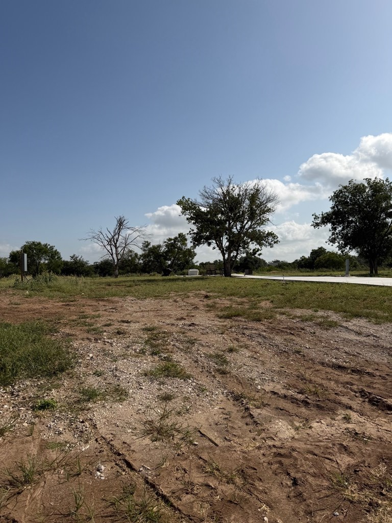 232 Resort Court Fredericksburg TX 78624