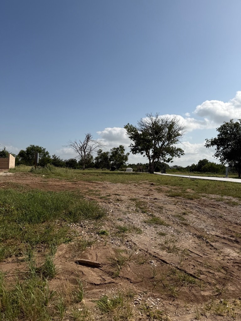 232 Resort Court Fredericksburg TX 78624