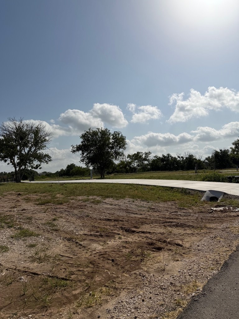 232 Resort Court Fredericksburg TX 78624