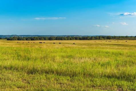 102 Baurenhof Court Fredericksburg TX 78624