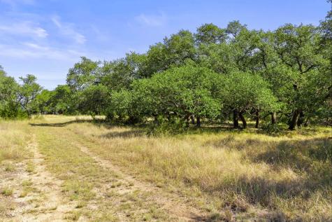 1655 Walnut Springs Road Johnson City TX 78636