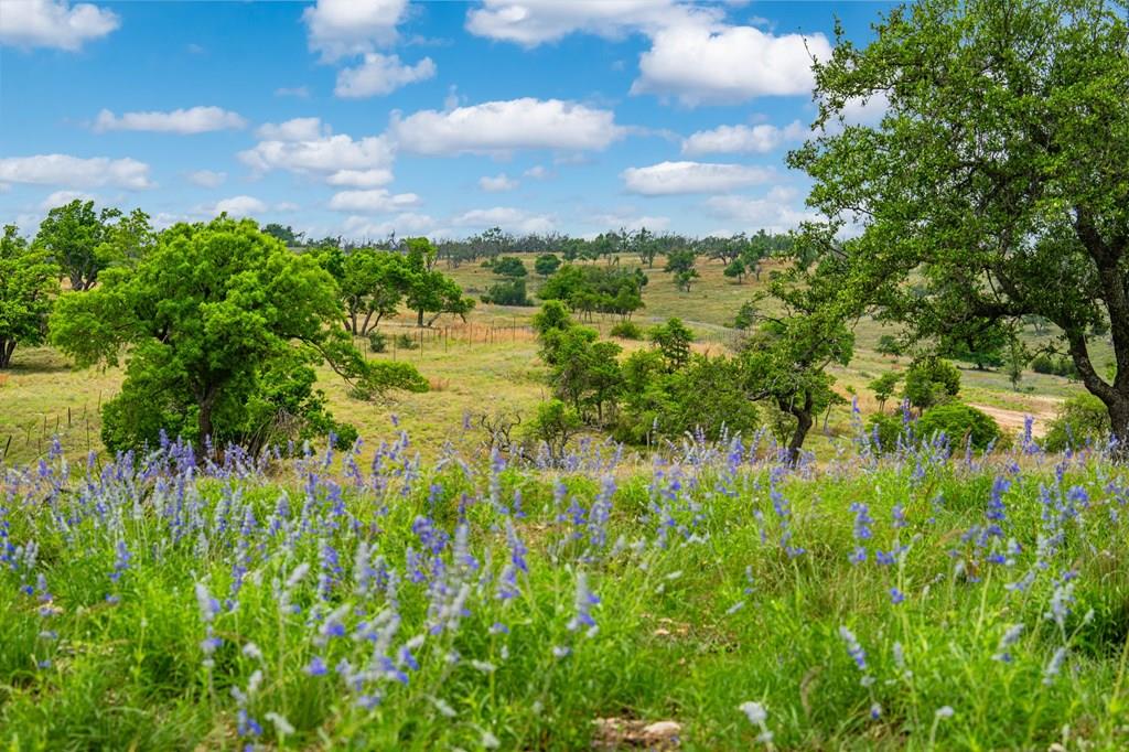 Lot 48 Badger Ridge Road Fredericksburg TX 78624