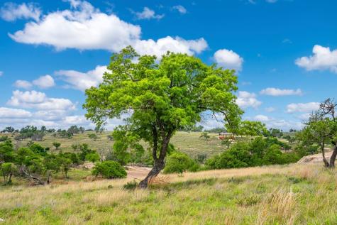 Lot 48 Badger Ridge Road Fredericksburg TX 78624