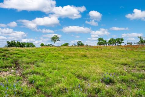Lot 48 Badger Ridge Road Fredericksburg TX 78624
