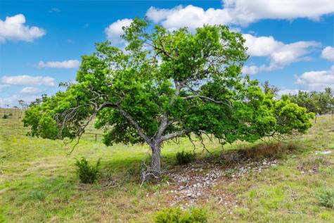 Lot 48 Badger Ridge Road Fredericksburg TX 78624