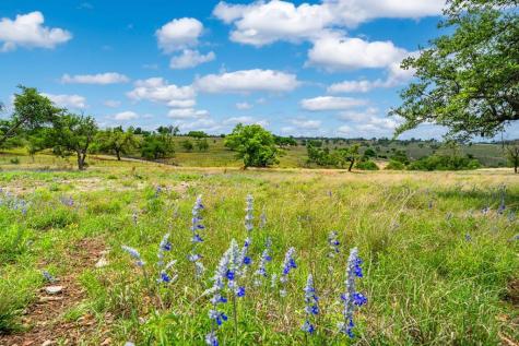 Lot 48 Badger Ridge Road Fredericksburg TX 78624