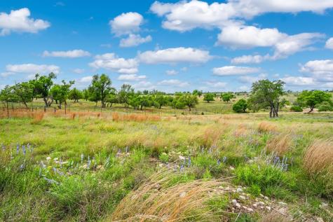 Lot 48 Badger Ridge Road Fredericksburg TX 78624