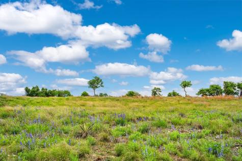 Lot 48 Badger Ridge Road Fredericksburg TX 78624
