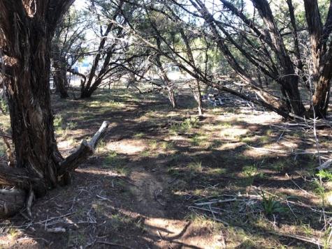 Lot 16-17 Oklahoma Avenue Bandera TX 78063