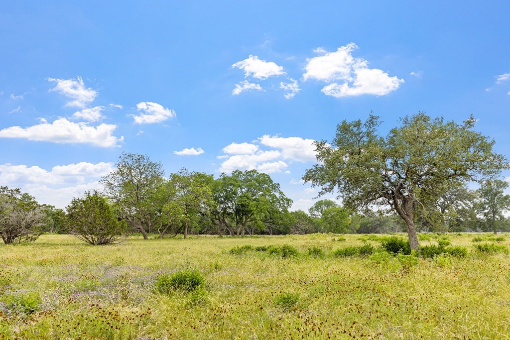 Lot 6 Coldwater Drive Camp Verde TX 78010