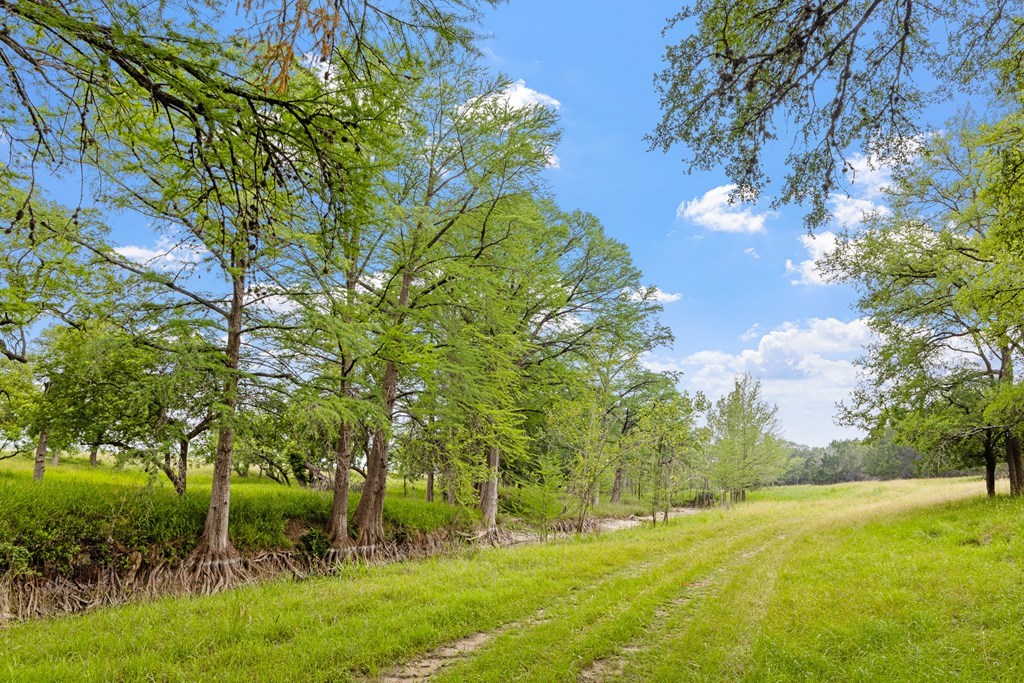 Lot 6 Coldwater Drive Camp Verde TX 78010