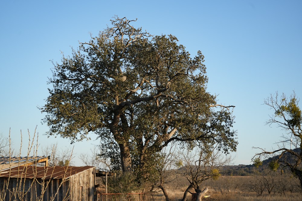 120 County Road 306 Lohn TX 76852