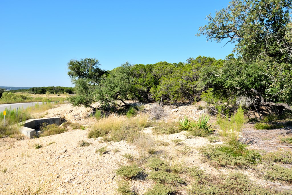 Lot 8 Private Road 1708 Mico TX 78056