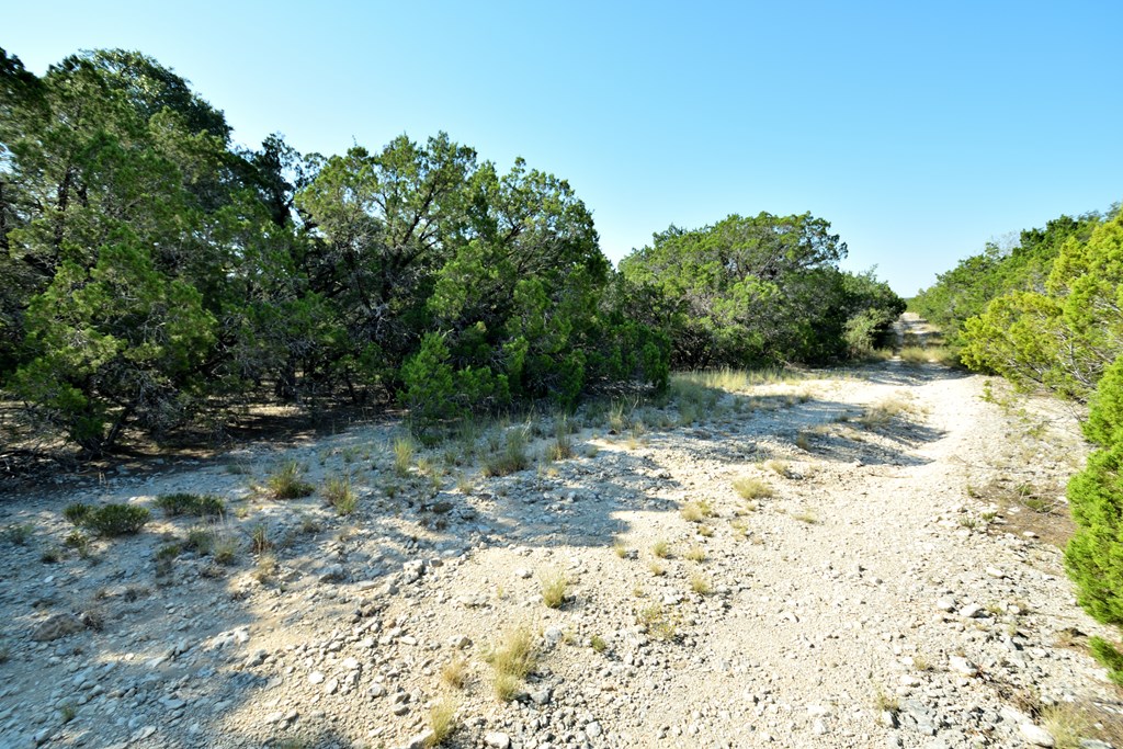 Lot 8 Private Road 1708 Mico TX 78056