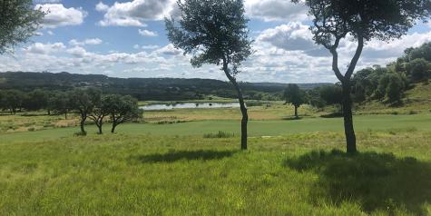 424 Sawgrass Trail Fredericksburg TX 78624