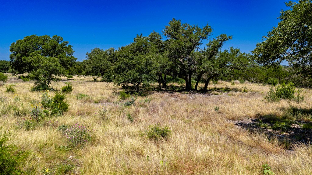 Lot 104 -- Murray Ridge Kerrville TX 78028