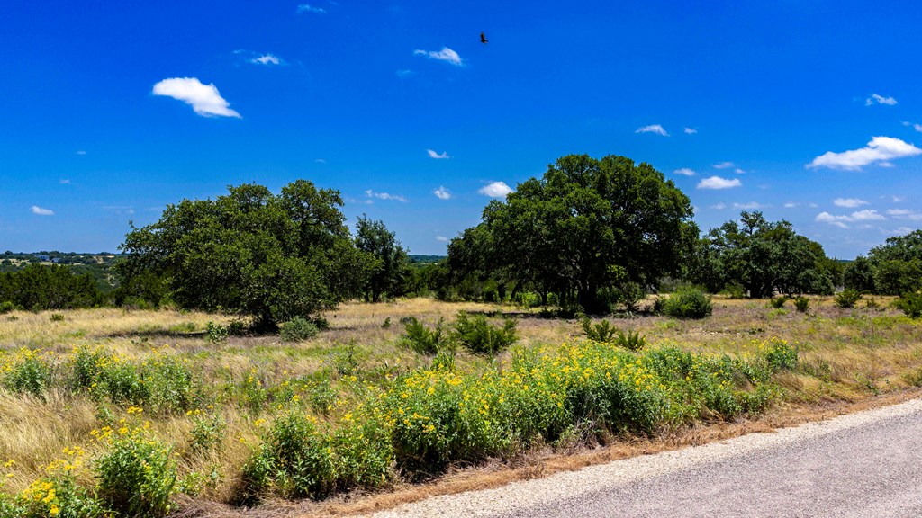 Lot 104 -- Murray Ridge Kerrville TX 78028