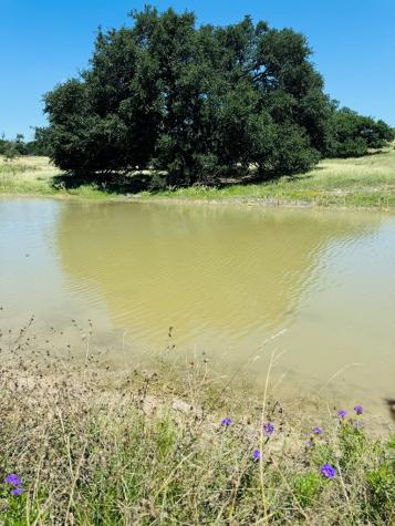 Lot 69 Oakwater Drive Fredericksburg TX 78624