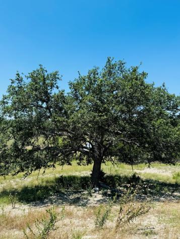 Lot 69 Oakwater Drive Fredericksburg TX 78624