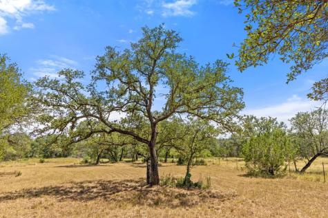 Lot 17 Stonegate Court Johnson City TX 78636