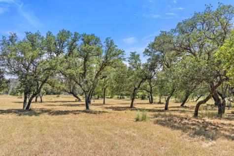 Lot 17 Stonegate Court Johnson City TX 78636