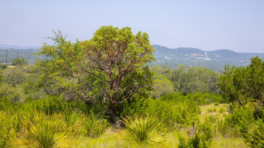 Lot 37 Blackbuck Trail Pipe Creek TX 78063
