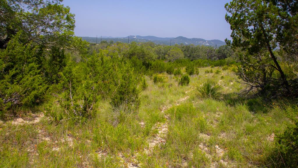 Lot 37 Blackbuck Trail Pipe Creek TX 78063