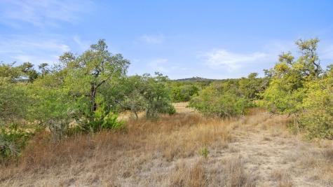 232 Crooked Oak Lane Round Mountain TX 78663