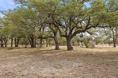 232 Crooked Oak Lane Round Mountain TX 78663