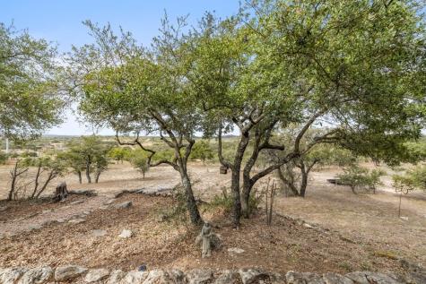 232 Crooked Oak Lane Round Mountain TX 78663