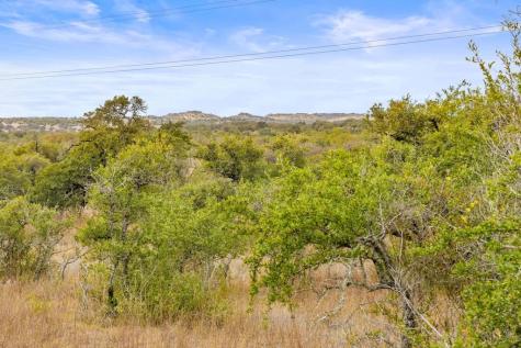 232 Crooked Oak Lane Round Mountain TX 78663
