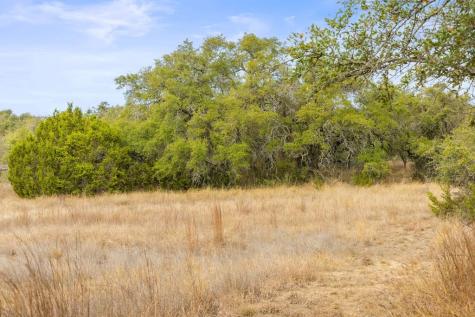 232 Crooked Oak Lane Round Mountain TX 78663