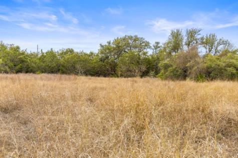 232 Crooked Oak Lane Round Mountain TX 78663