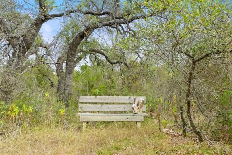 232 Crooked Oak Lane Round Mountain TX 78663