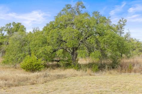 232 Crooked Oak Lane Round Mountain TX 78663