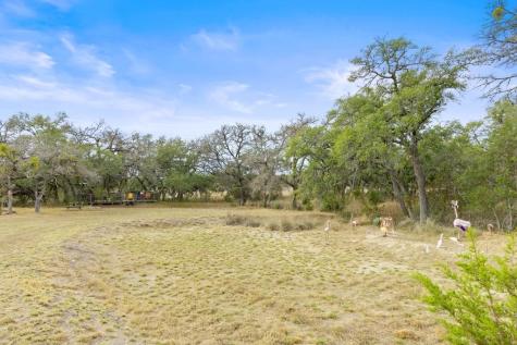 232 Crooked Oak Lane Round Mountain TX 78663